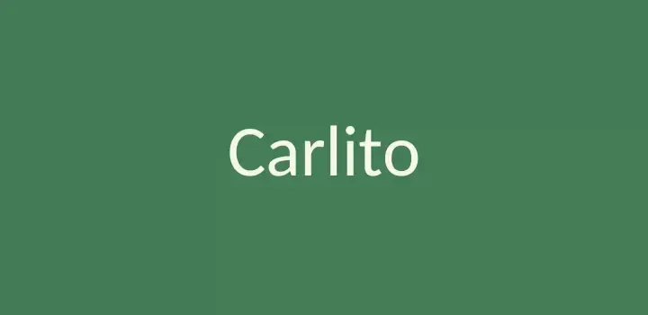 carlito top fonts for microsoft excel users on canva