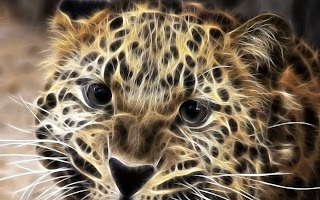 3D Leopard wallpaper