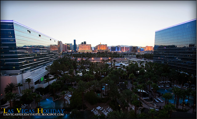 View from Casino Tower at the Hard Rock Hotel & Casino