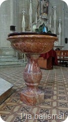 DSC06254