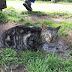 Never too late: if you missed The IPKat last week