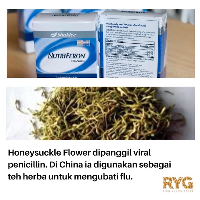 Manfaat Honeysuckle dalam Nutriferon 