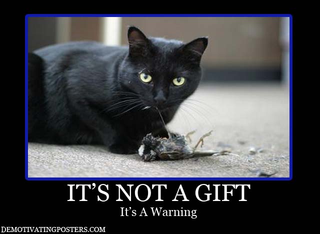 ... posters-poster-funny-posters-denotivating-demotivational-cat-kitten