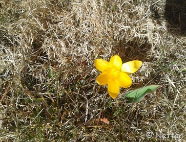 2013-03-31 14.33.32