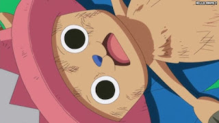 ワンピースアニメ 506話 トリノ王国 チョッパー かわいい Tony Tony Chopper | ONE PIECE Episode 506