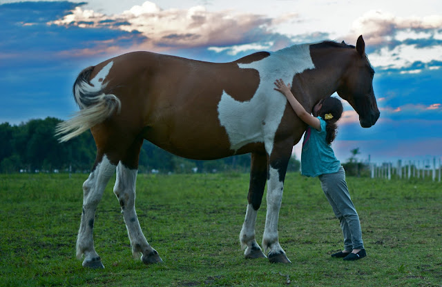 Girl hugging horse