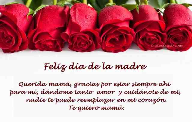 feliz dia de las madres