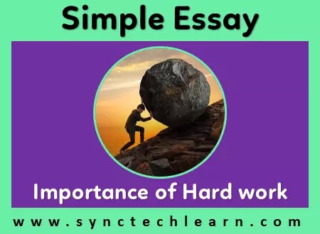 computer essay english mein