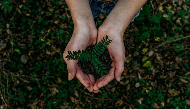 Semangat Muda-Mudi Indonesia: Wacana Perubahan Iklim dan Hutan yang Kita Impikan