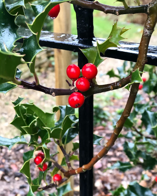 Chez Maximka, deck the halls with boughs of holly