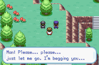 Pokemon The Leola Project Summer Screenshot 12