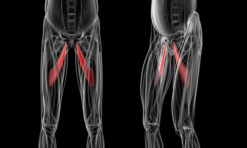 Athletic Pubalgia Mechanism of Injury | El Paso, TX Chiropractor