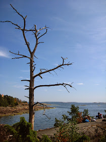 pihlajasaari meri sea saaristo