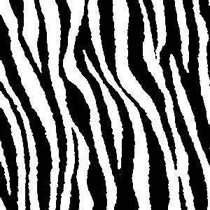 Background Zebra