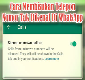 Cara Membisukan Telepon Dari Nomor Tak Dikenal Di WhatsApp