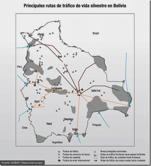 Tráfico de vida silvestre en Bolivia