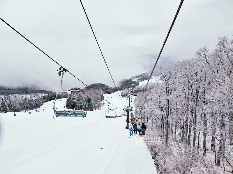 ski jam勝山,西日本滑雪場