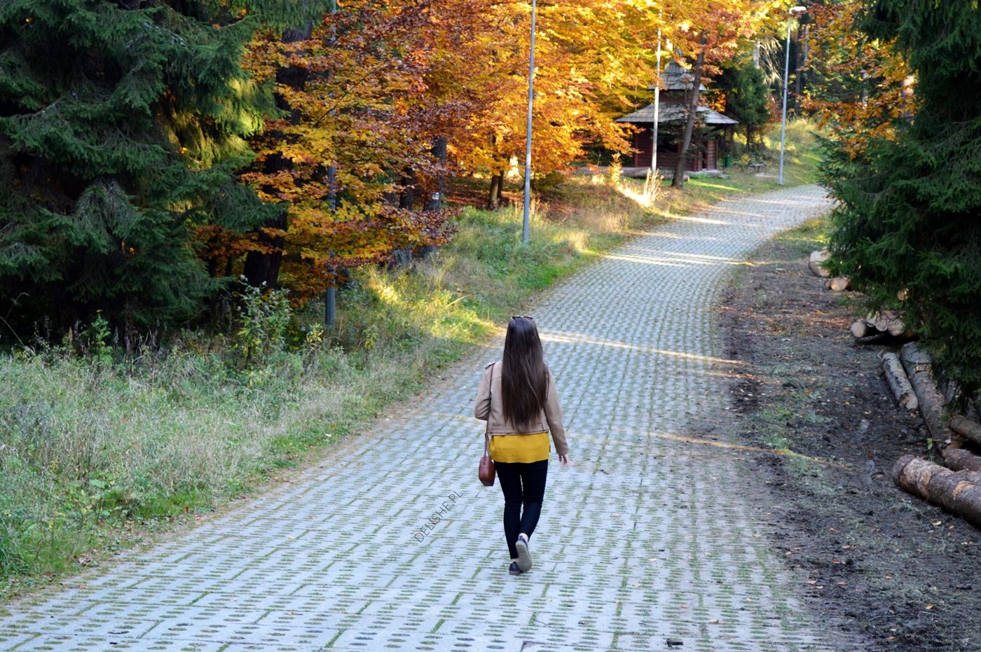 jesienny spacer, co robić jesienią