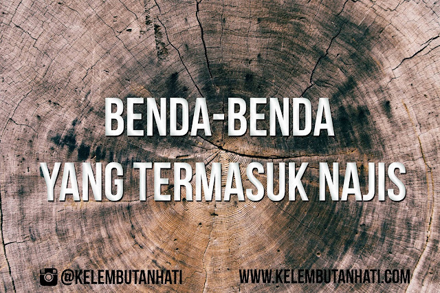 Benda-benda yang Termasuk Najis