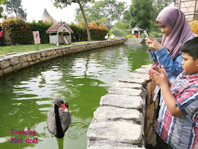 Percutian Colmar Tropicale Bukit Tinggi Tempat menarik