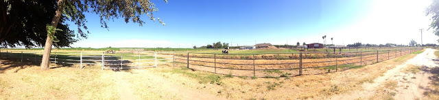 turlock, california, photos, ranch, panorama, sunkissed dream, photos of turlock