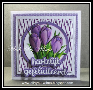 Een vierkante felicitatiekaart met daarop cirkels, 3d bloemen (tulpen) en "hartelijk gefeliciteerd" met schaduw. A square congratulatory card with circles on it, 3d flowers (tulips) and "Happy Birthday" (Dutch words) with shadow.