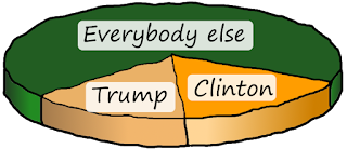 Election results pie chart