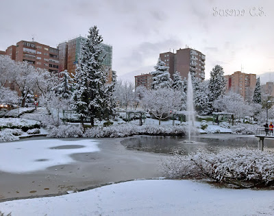 El Lago de Coslada - Coslada se tiñe de blanco