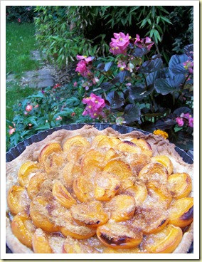 tarte abricots2