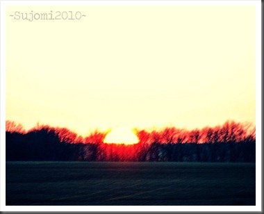 2010 03 05 IMG_4929aw