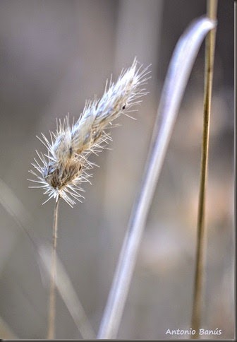 4_DSC3301x1
