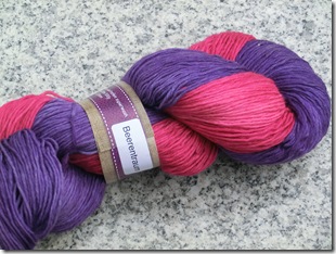 TS MU Mai 2011 Beerentraum-