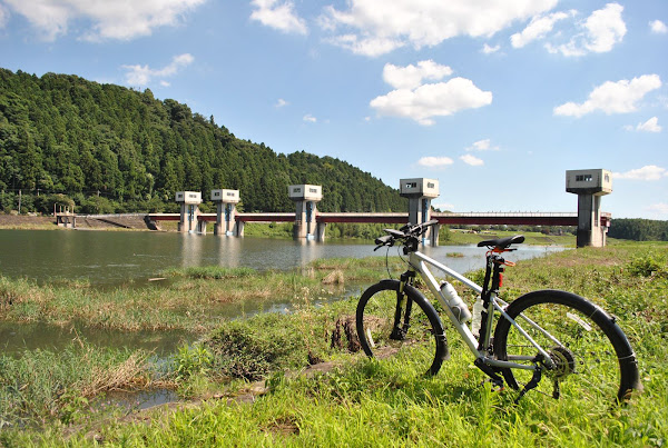 辰ノ口堰久慈川右岸