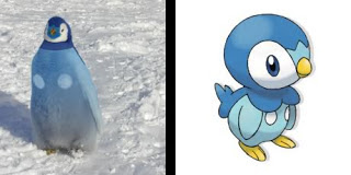 Piplup