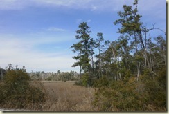Picnic in Oceans Springs, MS 033