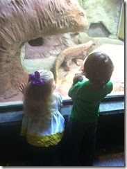 zoo0
