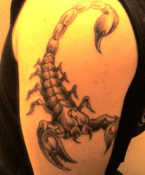 scorpion tattoo