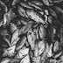 Bhaucha Dhakka: Mumbai’s Biggest Fish Market 
