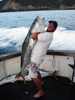 World Record Yellowtail Kingfish