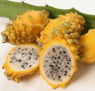 Manfaat Buah Naga Kuning