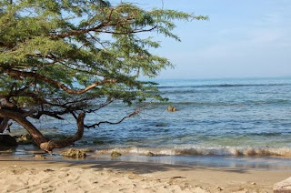 Las 3 Mejores Playas de la inolvidable Jamaica