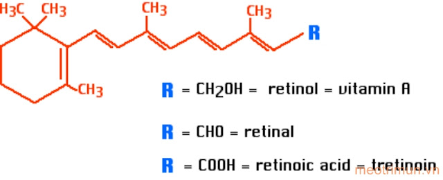 Retinoids là gì và công dụng của Retinol