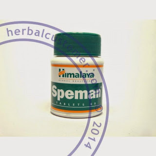 Himalaya Speman