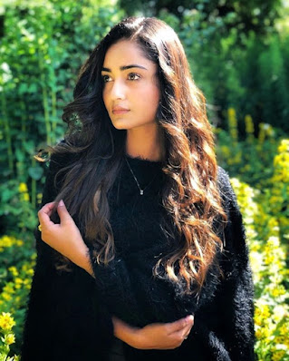 Tridha Choudhury model