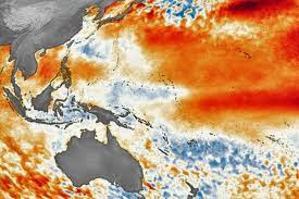 Fenomena El Nino, Ini Penjelasan BPBD Pagaralam