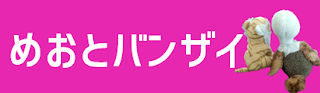 めおとバンザイ