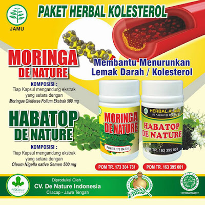 Obat Kolesterol