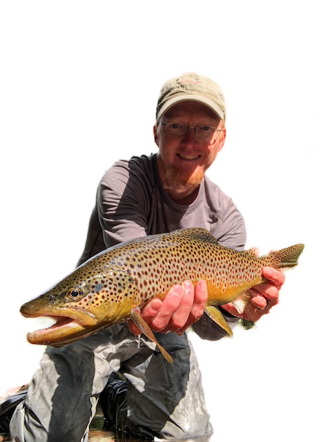 Big wild buck brown trout in the Great Smoky Mountains