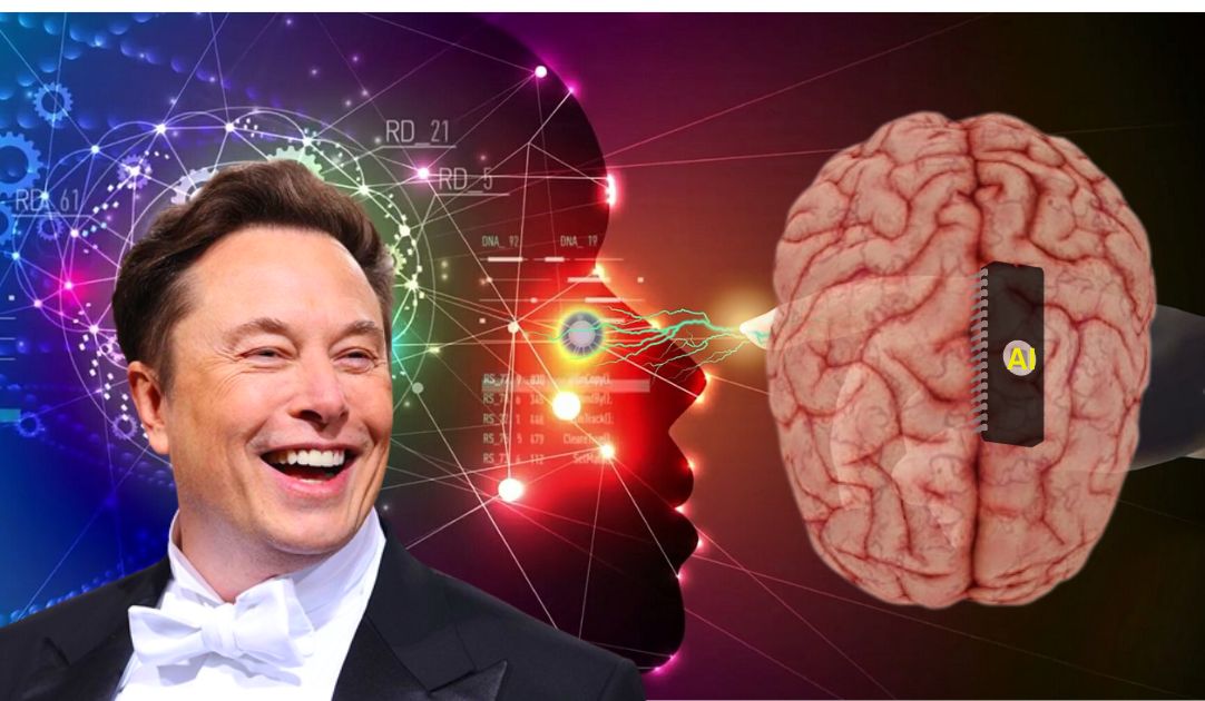 Elon Musk Neuralink Brain Interface Chip Set for Human Trial | Here is All You need to Know