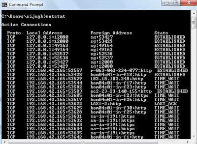 How to use the netstat command